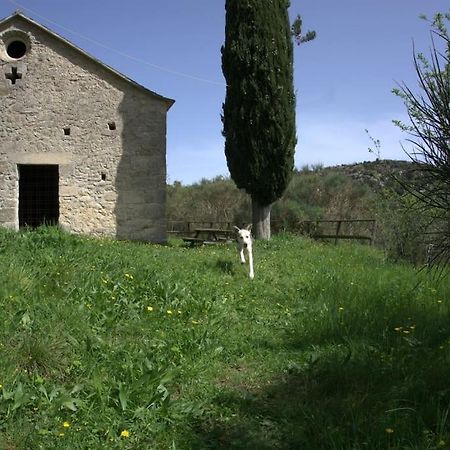 Casa Greta - Orco-Feglino Lägenhet Orco Feglino Exteriör bild