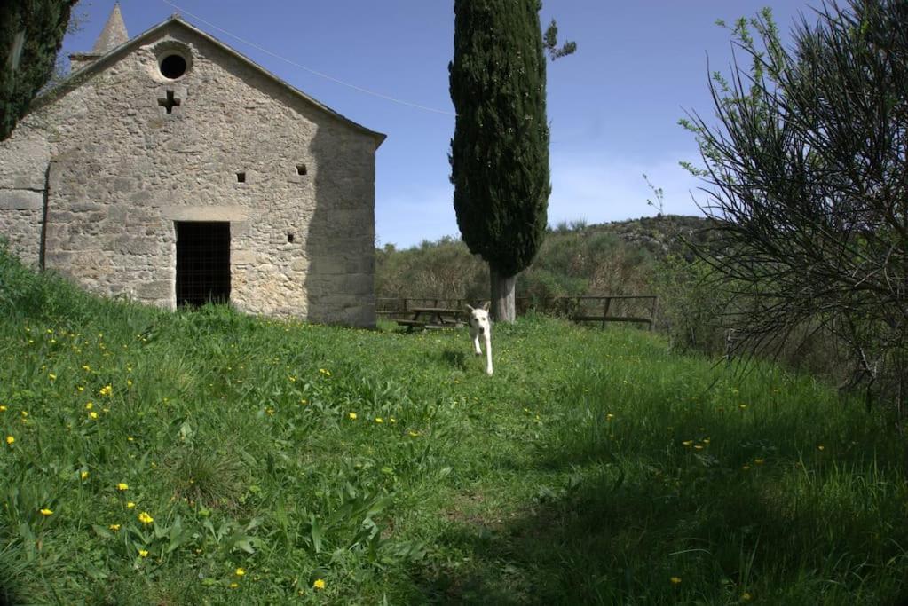 Casa Greta - Orco-Feglino Lägenhet Orco Feglino Exteriör bild